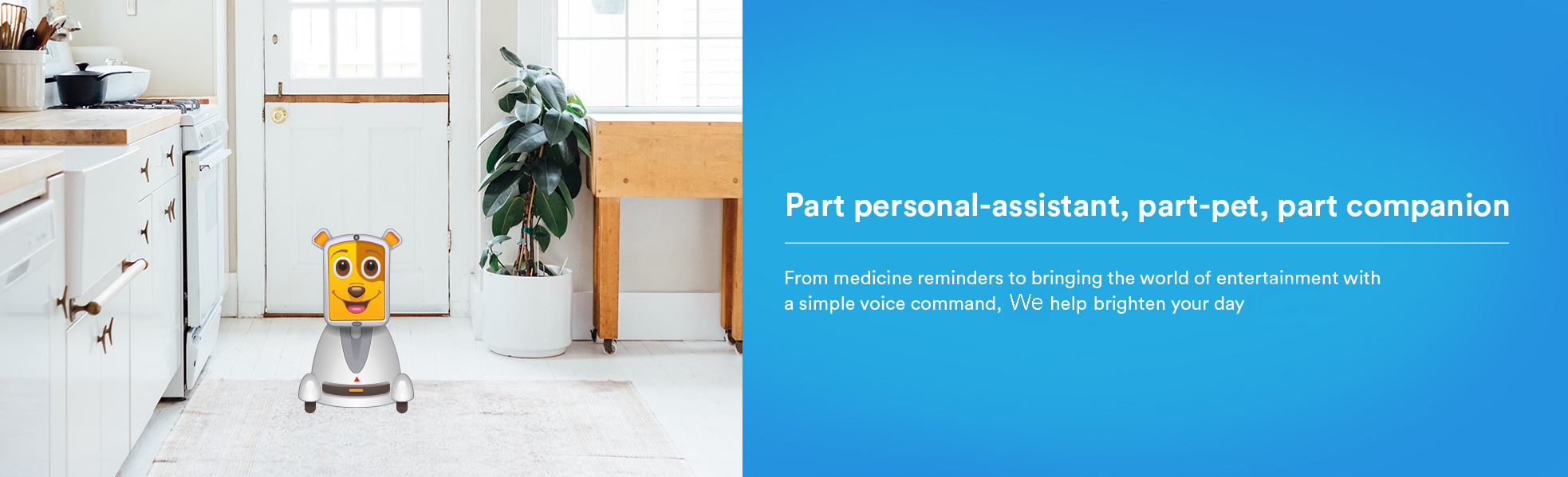 Assistant robot