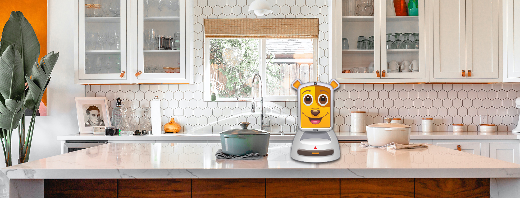 Assistant robot